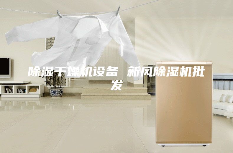 除濕干燥機設備 新風除濕機批發