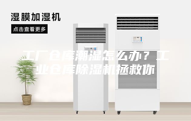 工廠倉庫潮濕怎么辦？工業倉庫除濕機拯救你