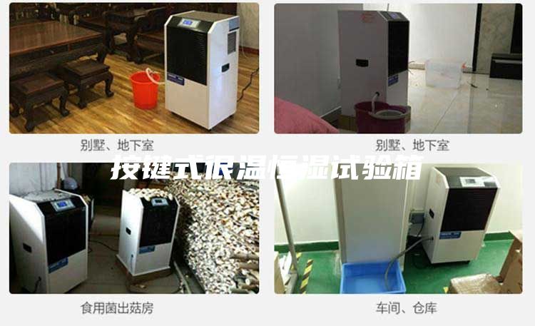 按鍵式很溫恒濕試驗(yàn)箱