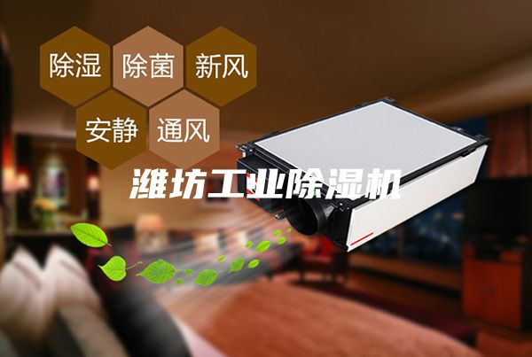 濰坊工業(yè)除濕機(jī)