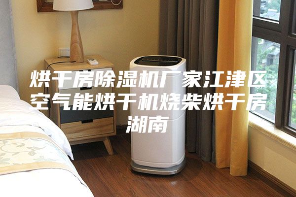 烘干房除濕機(jī)廠家江津區(qū)空氣能烘干機(jī)燒柴烘干房湖南