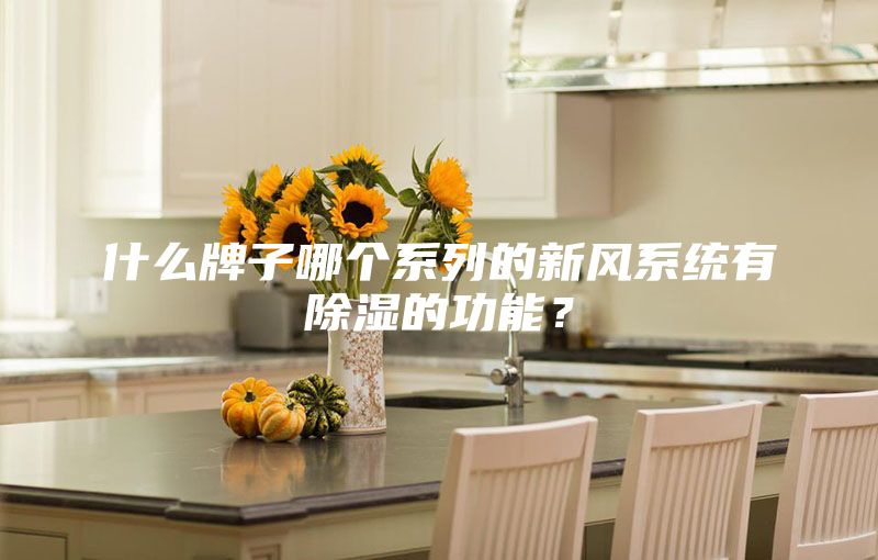 什么牌子哪個系列的新風系統有除濕的功能?
