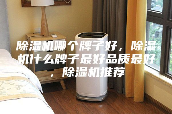 除濕機(jī)哪個牌子好，除濕機(jī)什么牌子最好品質(zhì)最好，除濕機(jī)推薦