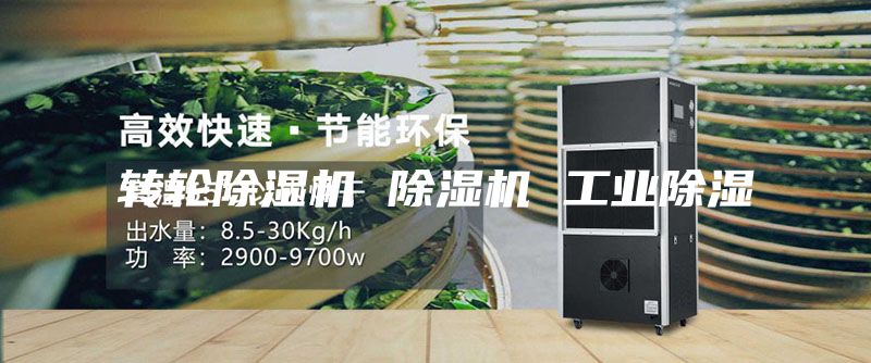 轉輪除濕機 除濕機 工業(yè)除濕