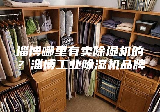 淄博哪里有賣除濕機(jī)的?淄博工業(yè)除濕機(jī)品牌