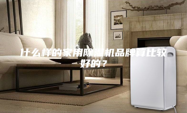 什么樣的家用除濕機品牌算比較好的？