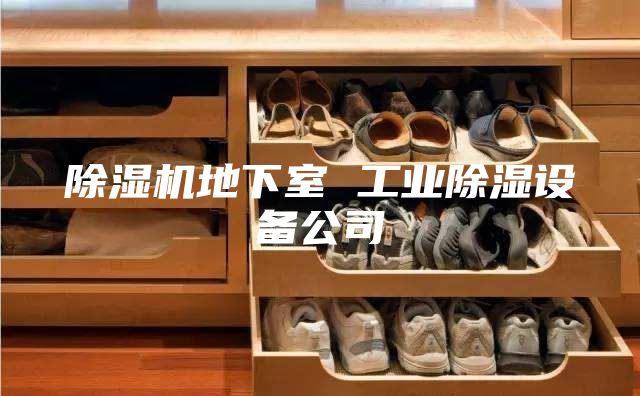 除濕機(jī)地下室 工業(yè)除濕設(shè)備公司
