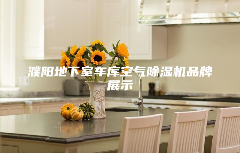 濮陽地下室車庫空氣除濕機品牌展示