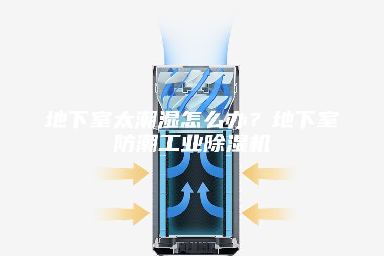 地下室太潮濕怎么辦？地下室防潮工業(yè)除濕機