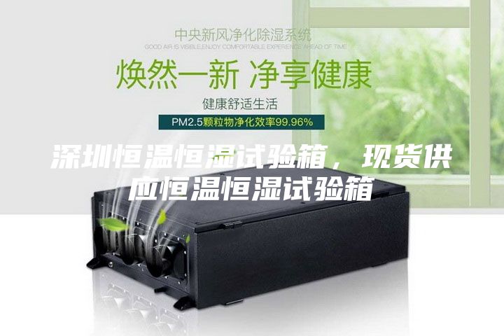 深圳恒溫恒濕試驗(yàn)箱，現(xiàn)貨供應(yīng)恒溫恒濕試驗(yàn)箱