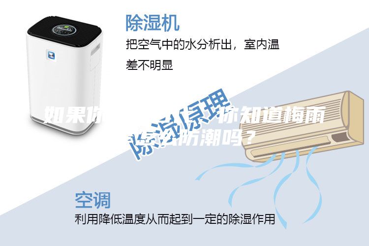 如果你生在古代,你知道梅雨季怎么防潮嗎?