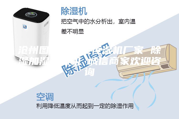 滄州圖書館凈化恒濕機廠家 除濕加濕一體機 誠信商家歡迎咨詢