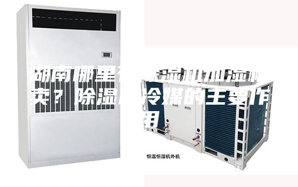 湖南哪里有除濕機(jī)加濕機(jī)賣(mài)？除濕機(jī)冷媒的主要作用