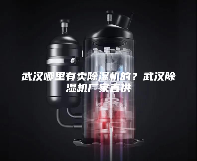 武漢哪里有賣除濕機的？武漢除濕機廠家直供