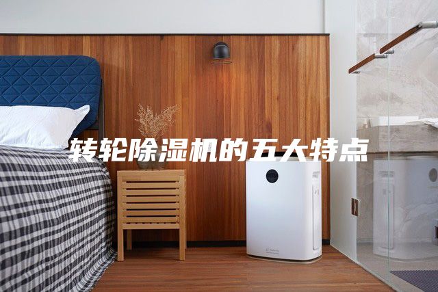 轉(zhuǎn)輪除濕機(jī)的五大特點