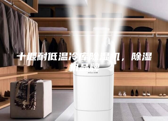 十堰耐低溫冷庫除濕機，除濕機品牌