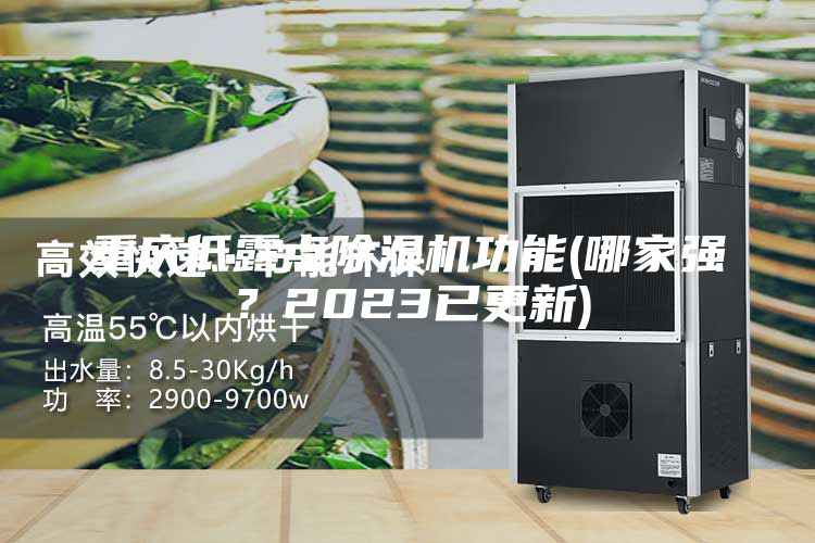 重慶低露點(diǎn)除濕機(jī)功能(哪家強(qiáng)?2023已更新)