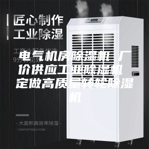 電氣機房除濕機 廠價供應工業除濕機 定做高質量轉輪除濕機