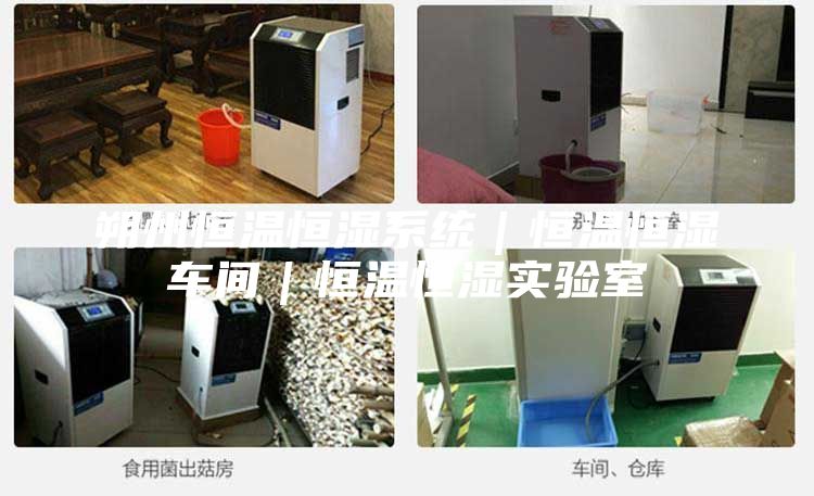 朔州恒溫恒濕系統(tǒng)｜恒溫恒濕車(chē)間｜恒溫恒濕實(shí)驗(yàn)室