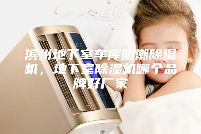 濱州地下室車庫防潮除濕機，地下室除濕機哪個品牌好廠家