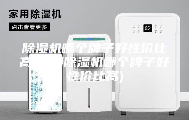除濕機(jī)哪個牌子好性價比高(家用除濕機(jī)哪個牌子好性價比高)