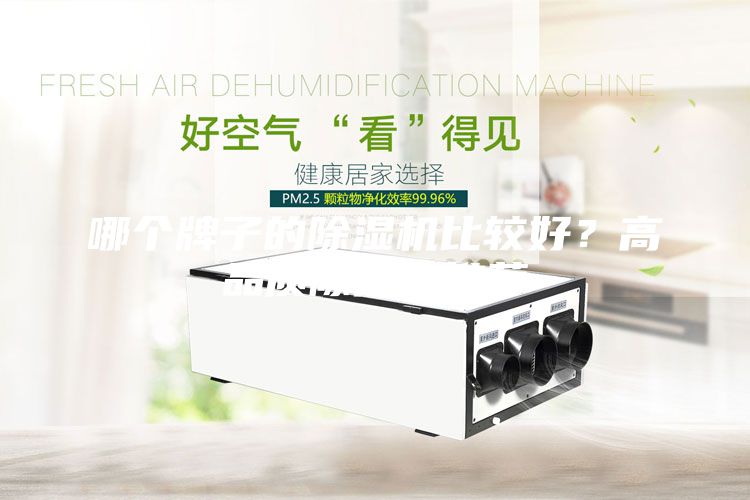 哪個(gè)牌子的除濕機(jī)比較好?高品質(zhì)除濕機(jī)推薦