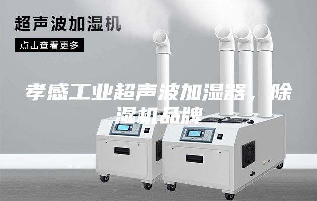 孝感工業(yè)超聲波加濕器,除濕機品牌
