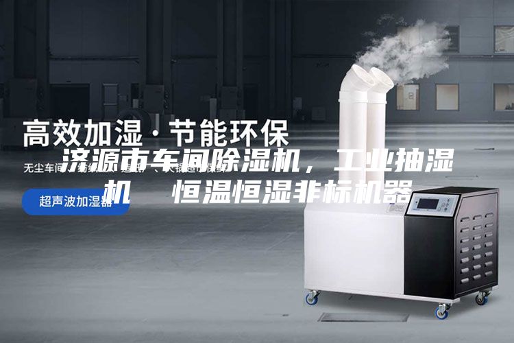 濟(jì)源市車間除濕機(jī),工業(yè)抽濕機(jī) 恒溫恒濕非標(biāo)機(jī)器