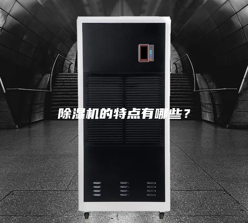 除濕機(jī)的特點有哪些?