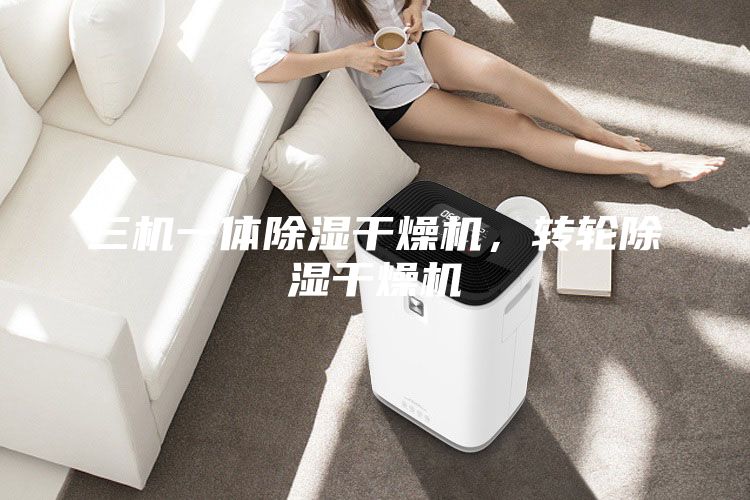 三機(jī)一體除濕干燥機(jī),轉(zhuǎn)輪除濕干燥機(jī)