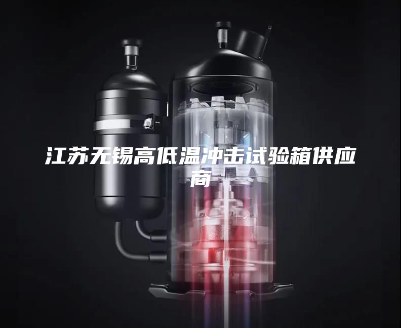 江蘇無錫高低溫沖擊試驗(yàn)箱供應(yīng)商