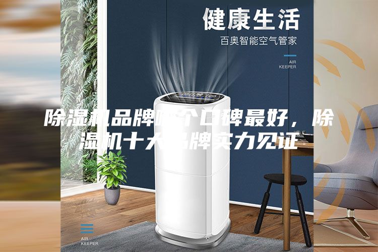 除濕機(jī)品牌哪個(gè)口碑最好，除濕機(jī)十大品牌實(shí)力見(jiàn)證