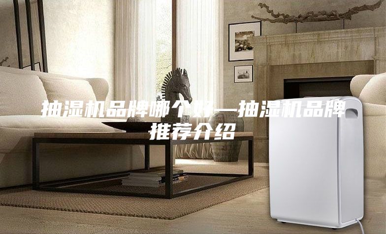 抽濕機(jī)品牌哪個好—抽濕機(jī)品牌推薦介紹