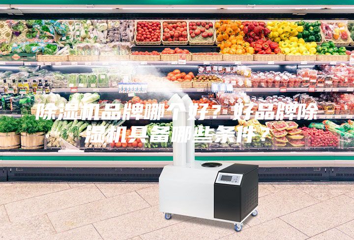 除濕機品牌哪個好?好品牌除濕機具備哪些條件?