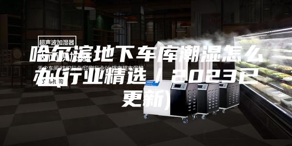 哈爾濱地下車庫(kù)潮濕怎么辦(行業(yè)精選/2023已更新)
