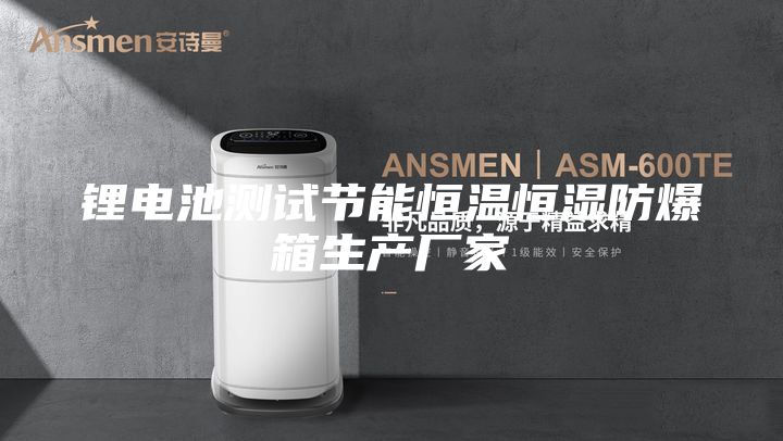 鋰電池測試節(jié)能恒溫恒濕防爆箱生產廠家