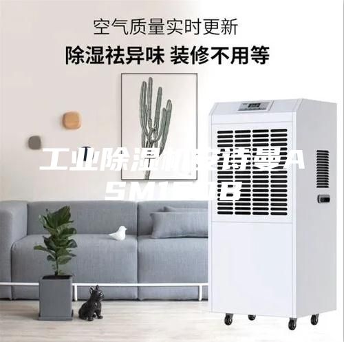 工業(yè)除濕機(jī)安詩(shī)曼ASM160B