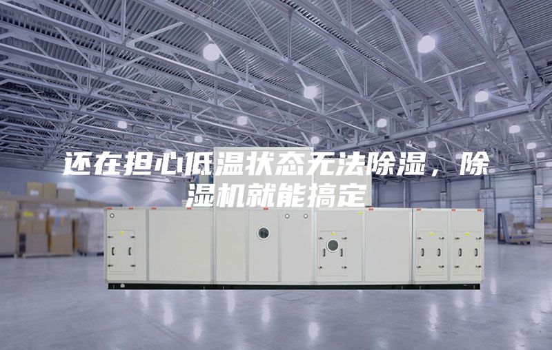 還在擔心低溫狀態無法除濕,除濕機就能搞定