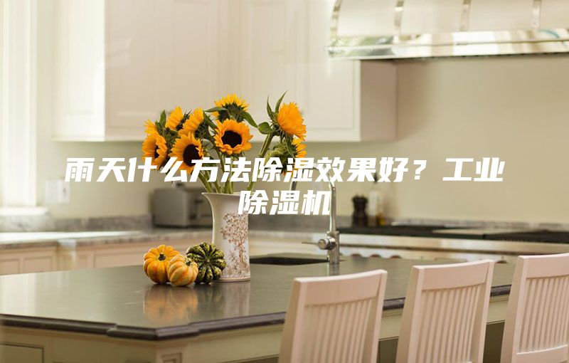 雨天什么方法除濕效果好？工業(yè)除濕機
