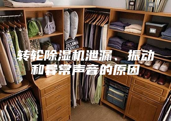 轉輪除濕機泄漏、振動和異常聲音的原因