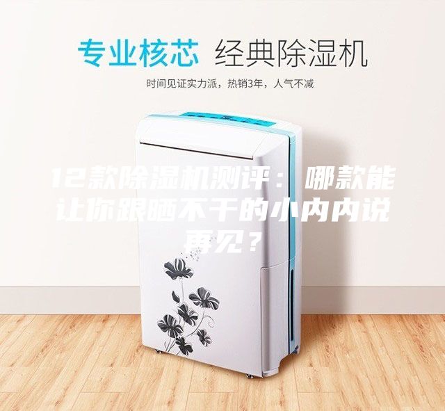 12款除濕機(jī)測(cè)評(píng):哪款能讓你跟曬不干的小內(nèi)內(nèi)說(shuō)再見(jiàn)?