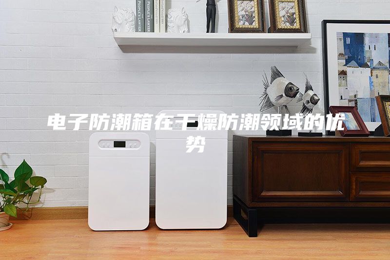 電子防潮箱在干燥防潮領域的優勢