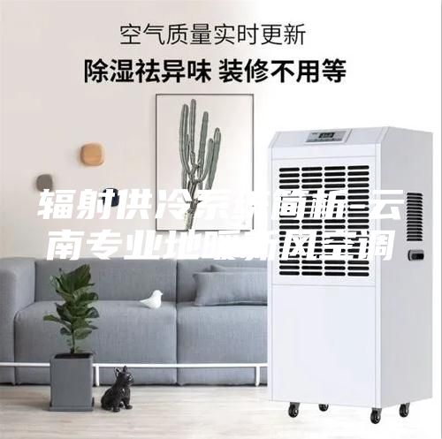 輻射供冷系統(tǒng)簡析-云南專業(yè)地暖新風空調(diào)