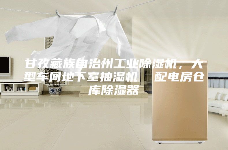 甘孜藏族自治州工業(yè)除濕機，大型車間地下室抽濕機  配電房倉庫除濕器