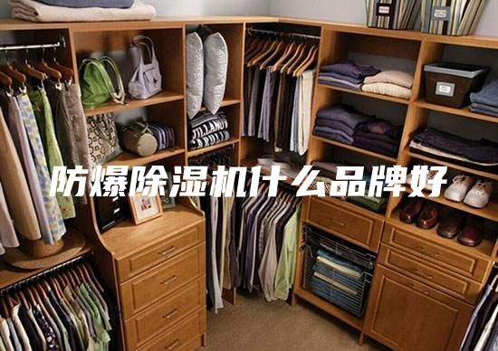 防爆除濕機(jī)什么品牌好