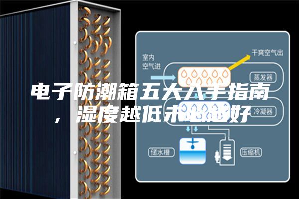 電子防潮箱五大入手指南，濕度越低未必越好