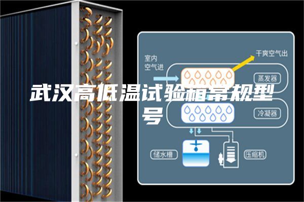 武漢高低溫試驗(yàn)箱常規(guī)型號